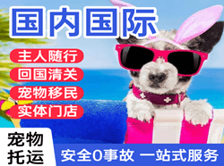 尧都航空快递国际宠物托运 【国